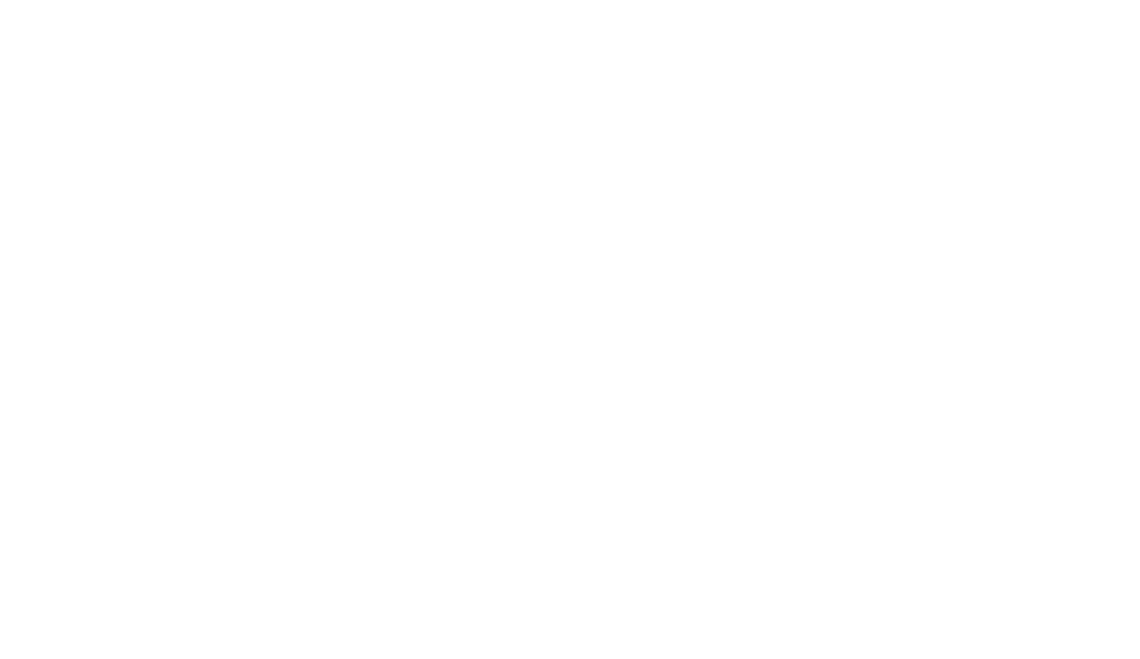 The Treasure Finder