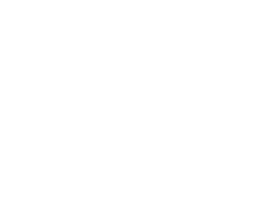 The Treasure Finder